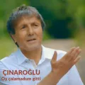 Çınaroğlu