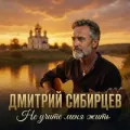 Дмитрий Сибирцев