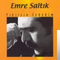 Emre Saltık