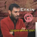 Etkin