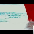 Murad Shamil