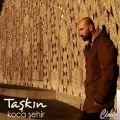 Taşkın