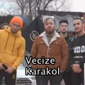 Vecize