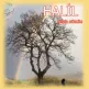 Halil