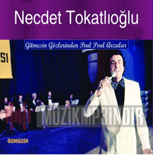 Necdet Tokatlıoğlu