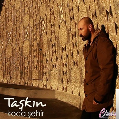 Taşkın